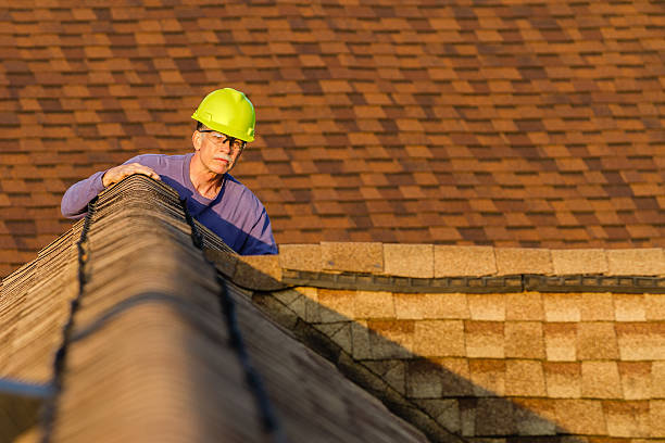 Best Roof Gutter Cleaning  in Sparta, GA