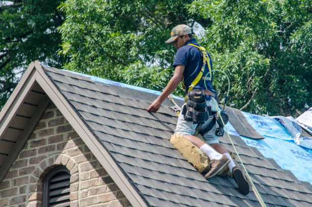 Best Roof Repair Services  in Sparta, GA